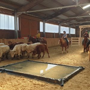 Reitkurs mit Ponys und Pferden bei Piets Adventure Trails in einer Reithalle.